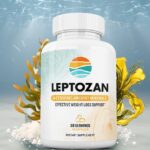 theleptozancost